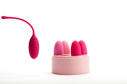 ROSE Deluxe Kegel Exercise System