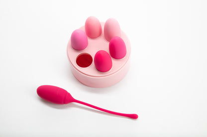 ROSE Deluxe Kegel Exercise System